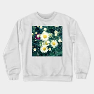 Bursting Crewneck Sweatshirt